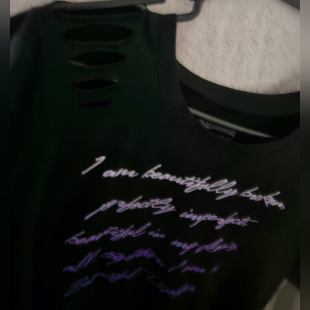 Beautiful Disaster Defined - image 2